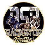 Charles Carpenter - @backstop_bullies Instagram Profile Photo