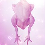 chicken heart GTO - @chickenheart_gto Instagram Profile Photo