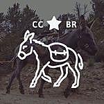 Clear Creek Burro Racing - @ccburroracing Instagram Profile Photo