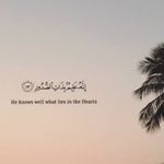 let us know islam - @know.letus Instagram Profile Photo