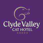 Clyde Valley Cat Hotel - @clyde_valley_cat_hotel Instagram Profile Photo