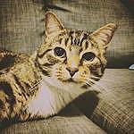 clyde wheeler - @clyde.wheeler567 Instagram Profile Photo