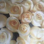 Connie Dennis - @columbia_florist_ Instagram Profile Photo