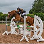 Connie Parker - @c_j.equestrian Instagram Profile Photo