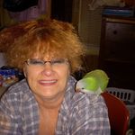 Connie Simmons - @connie.simmons.338 Instagram Profile Photo