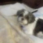 Cynthia Carver - @cynthia.carver.359 Instagram Profile Photo