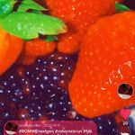 Cynthia porter - @chefcyneatz Instagram Profile Photo