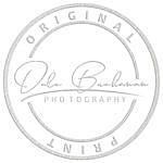 Dale Buchanan - @_dalebuchanan Instagram Profile Photo