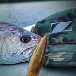 Dale Humphrey - @coastal_drift_fishing Instagram Profile Photo