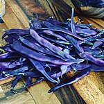 Daneen Parish - @purplepassionfarm Instagram Profile Photo
