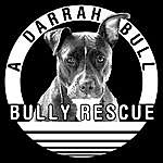 A Darrah Bull Bully Rescue - @adarrahbullbullyrescue Instagram Profile Photo