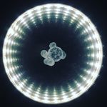 Darryl Rogers - @darrylbrogers Instagram Profile Photo