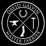 David Galvin - @davidgalvin.farrier Instagram Profile Photo