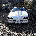 David sayer - @1984camaro Instagram Profile Photo