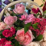 Le Nez dans les Fleurs - @le_nez_dans_les_fleurs Instagram Profile Photo