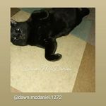 Dawn McDaniel - @dawn.mcdaniel.1272 Instagram Profile Photo