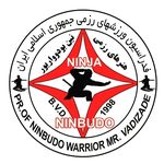 sensei ebrahimi - @kunoichi_ninja_warrior Instagram Profile Photo