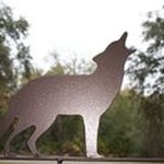 Debra Wolf - @debra.gram Instagram Profile Photo