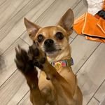 Elizabeth Farris - @_della.dog_ Instagram Profile Photo