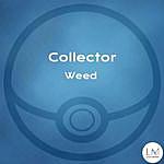 Devin Weed - @collector_weed Instagram Profile Photo
