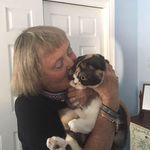 Diane Harry - @diane4cats Instagram Profile Photo
