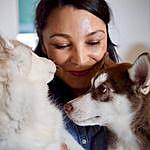 Dianna Buck, CPDT-KA - @dianna_buck_dogs Instagram Profile Photo