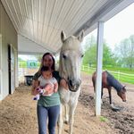 Dianna Ward - @horsegirl1016626 Instagram Profile Photo