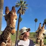 Diane Michener - @dianemichener Instagram Profile Photo