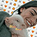 dixie._.house - @dixie._.house Instagram Profile Photo
