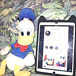 Donald duck instergram - @donaldduck1093 Instagram Profile Photo