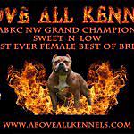 Donald Holmes - @above_all_kennels Instagram Profile Photo