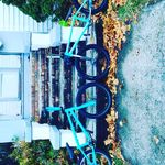 Donnie Evans - @bikelifedonnie2 Instagram Profile Photo