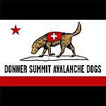 Donner Summit Avalanche Dogs - @donnersummitavydogs Instagram Profile Photo
