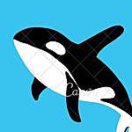 Help Save Captive Orcas! - @captivity_kills_orcas Instagram Profile Photo