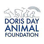 Doris Day Animal Foundation - @dorisdayanimalfoundation Instagram Profile Photo