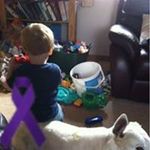 Duncan McRae - @duncan.mcrae Instagram Profile Photo