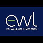 Ed Wallace - @ed_wallace_livestock Instagram Profile Photo
