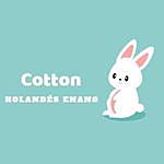 Cotton Holandes Enano - @cotton_holandes Instagram Profile Photo