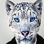 Edward Thy Leopard - @edward_thy_leopard Instagram Profile Photo
