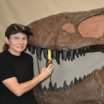 Elaine Howard - @dinosaurlaine Instagram Profile Photo