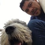 Elias And Alley Pets - @eliandalleypets Instagram Profile Photo