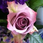 Elizabeth Bentley - @elizabeth_bentley Instagram Profile Photo