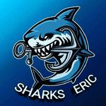 Eric Sharks - @sharks_eric Instagram Profile Photo