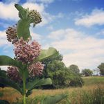 J. Eric Thomason - @cedar.ridge.farm Instagram Profile Photo