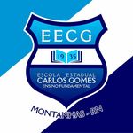 Escola Estadual Carlos Gomes - @ee.carlosgomes_ Instagram Profile Photo