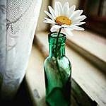 Selma Ethem - @selmaethem Instagram Profile Photo