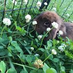 Eugene Barker - @barker_bunnies Instagram Profile Photo