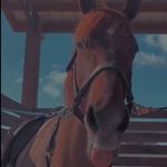 Olivia Faith Hunt - @horseride_51 Instagram Profile Photo