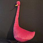 Floyd Penelope Flamingo - @floydflamingo Instagram Profile Photo