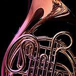 French Horn - @corno_frances Instagram Profile Photo